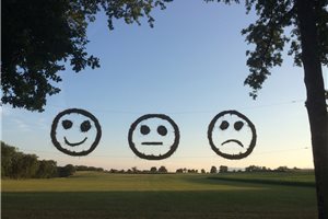 emoji 3   1